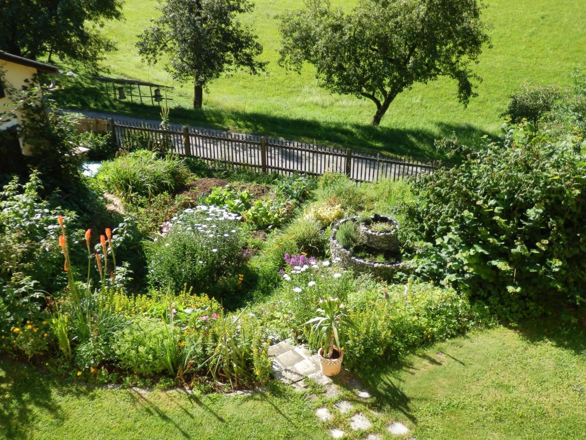 Naturoase Mühlviertel Sankt Johann am Wimberg Exterior foto