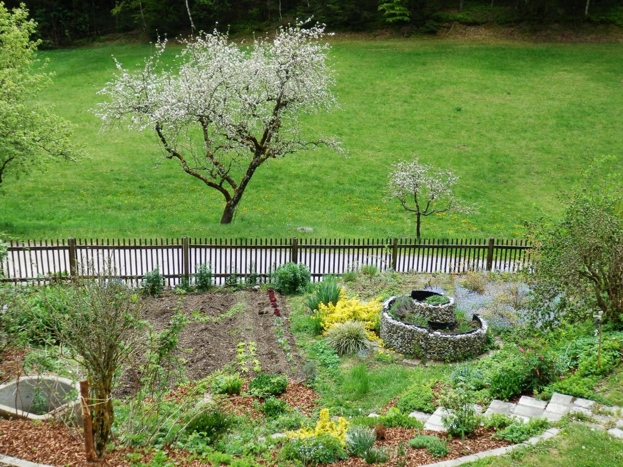Naturoase Mühlviertel Sankt Johann am Wimberg Habitación foto